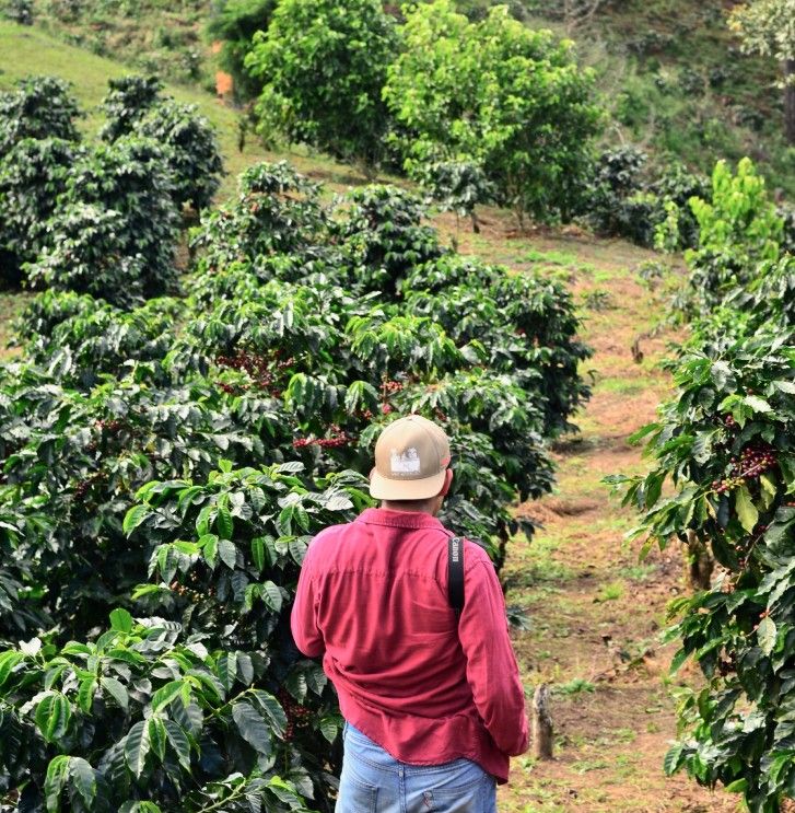 Santo Yungas — imagen 3