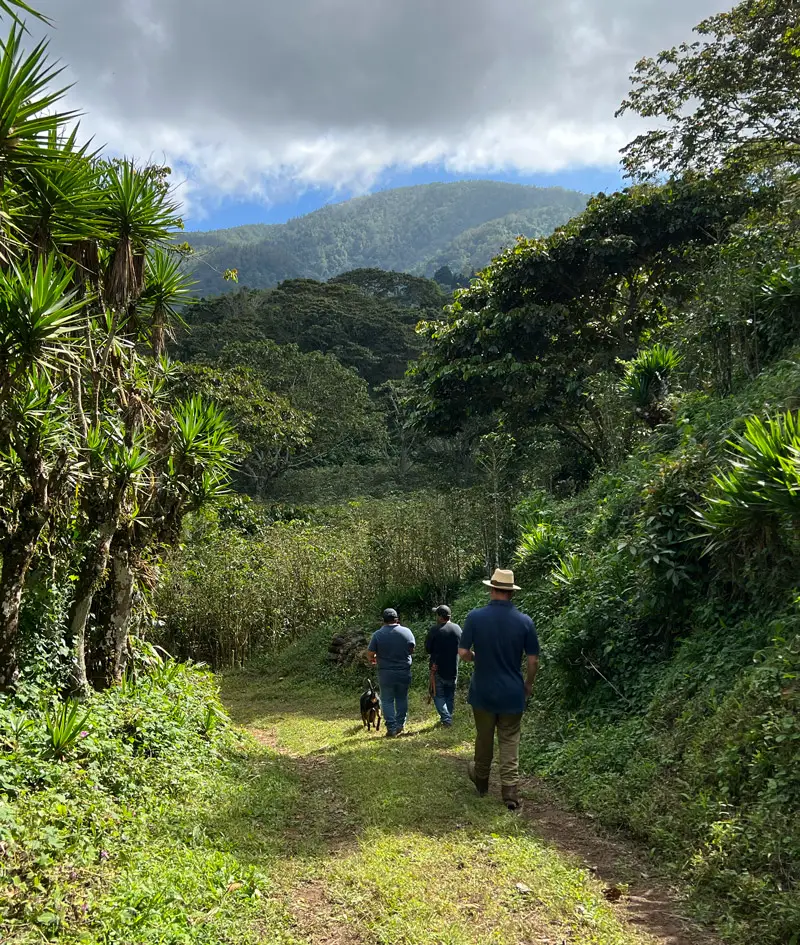 Santo Sereno — imagen 3