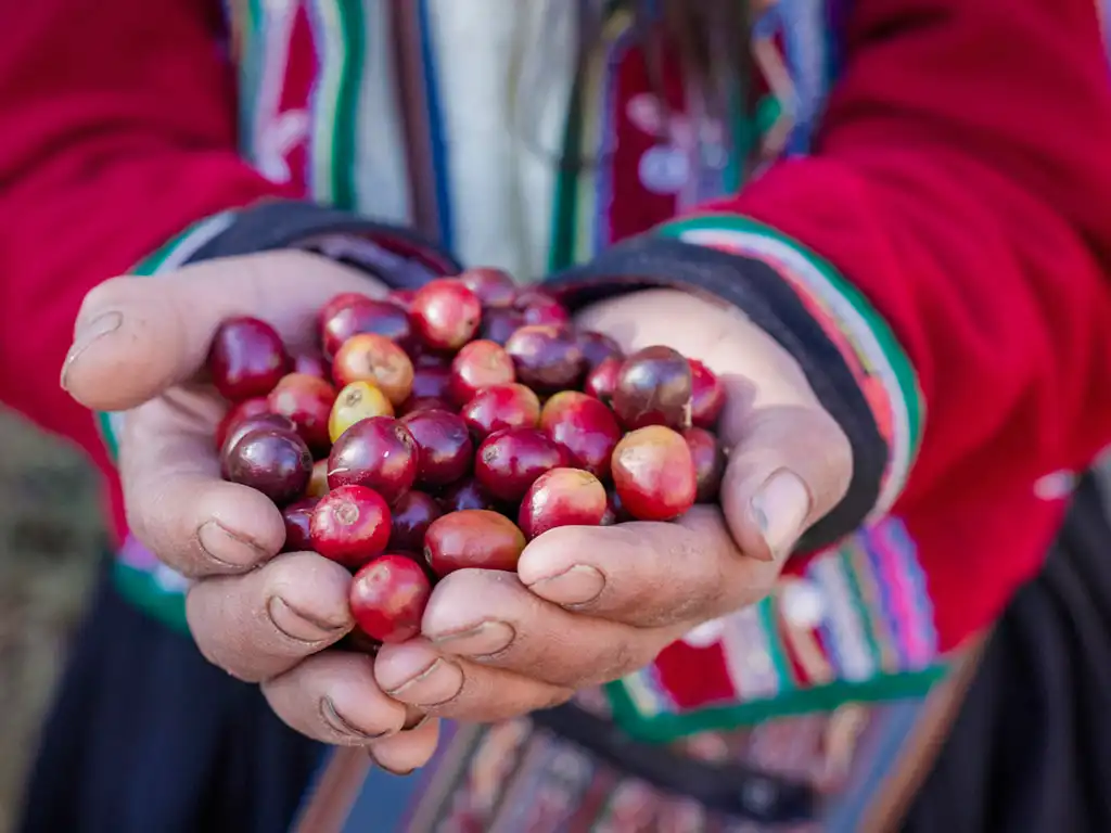 Camino Inca — imagen 1
